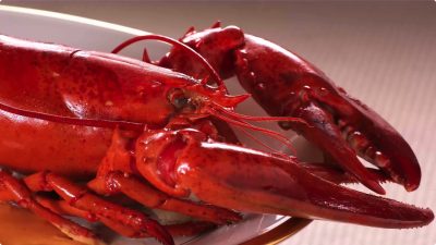 龙虾煎牛扒甜品美食短4k视频素材 7