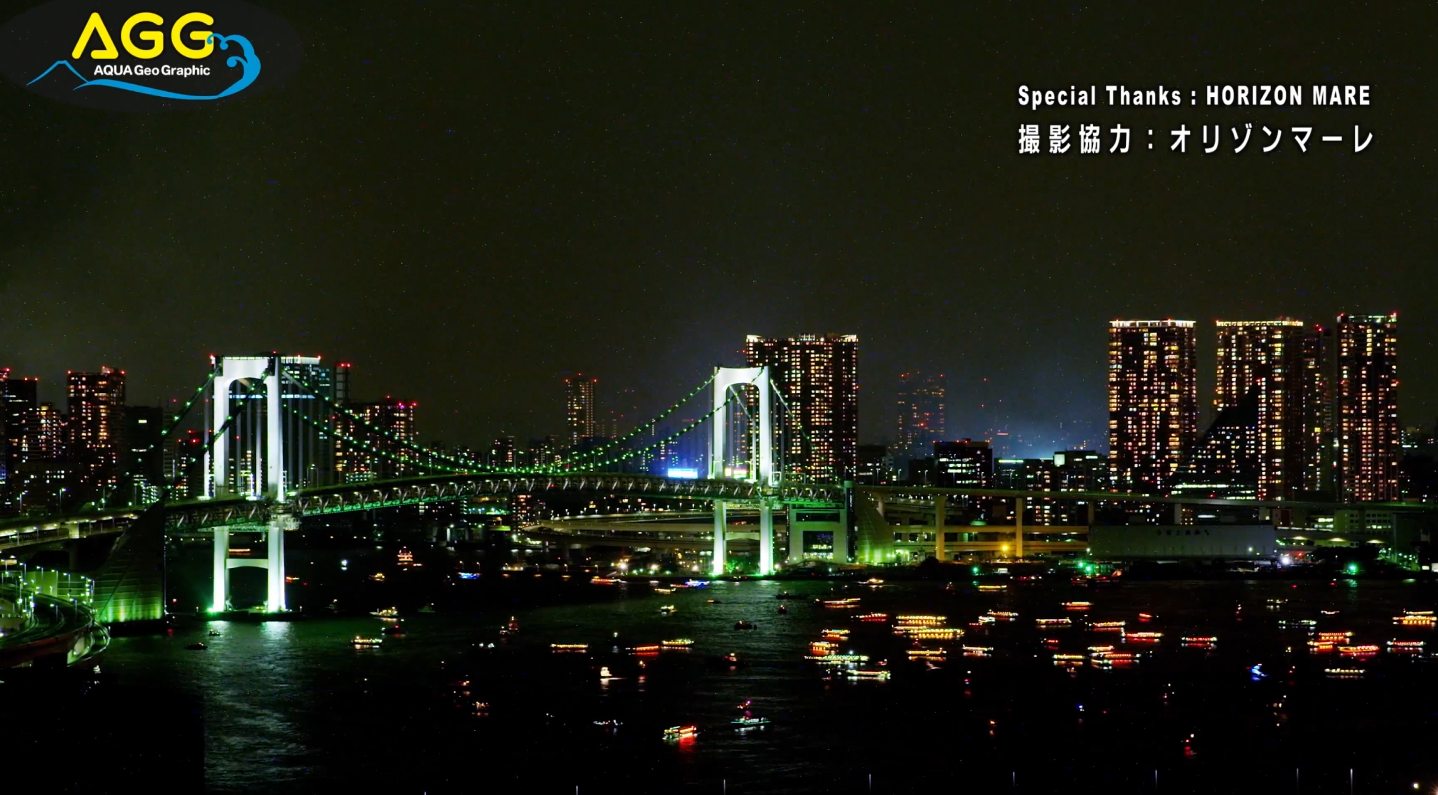 4K日本东京夜景 東京湾大華火祭 3