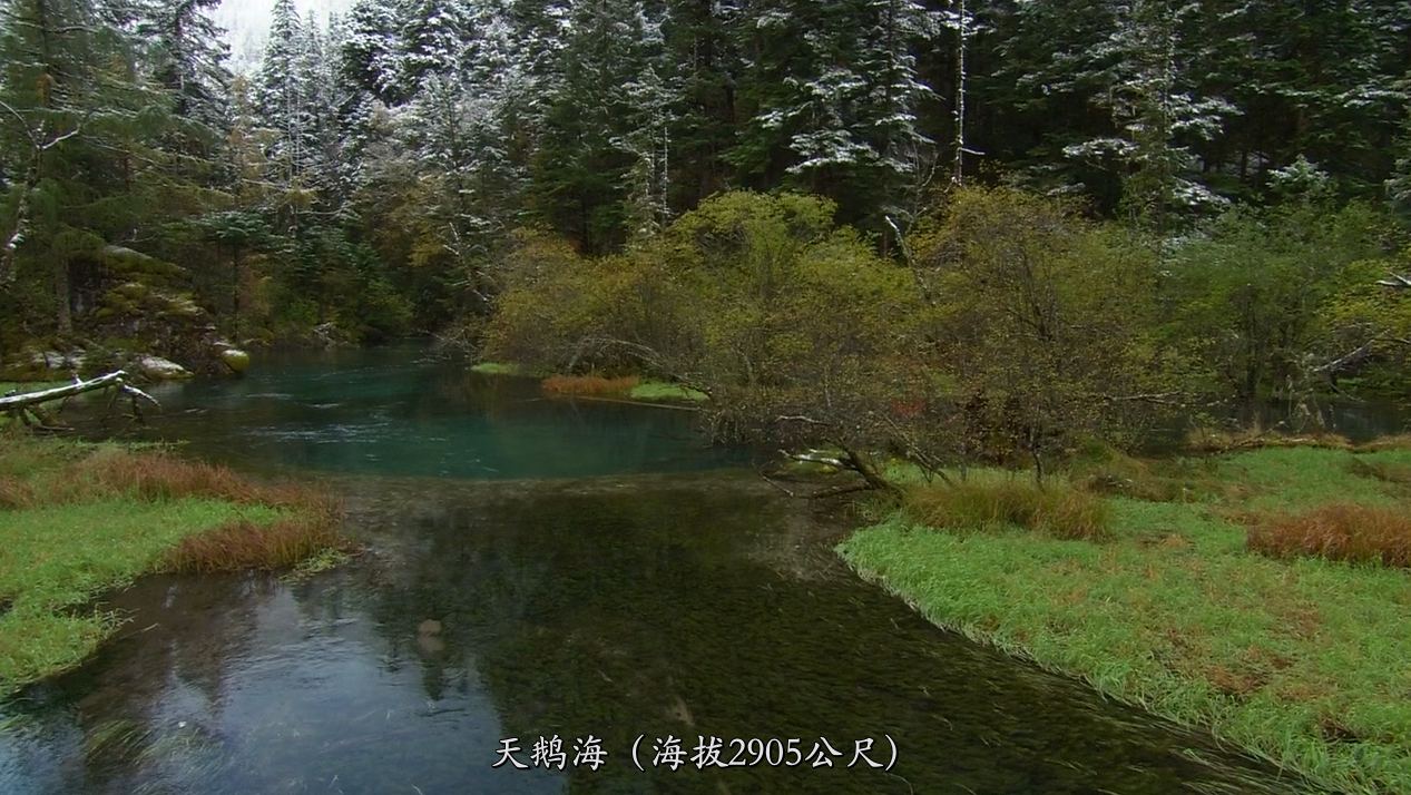 九寨沟 4k高清 旅拍视频 3