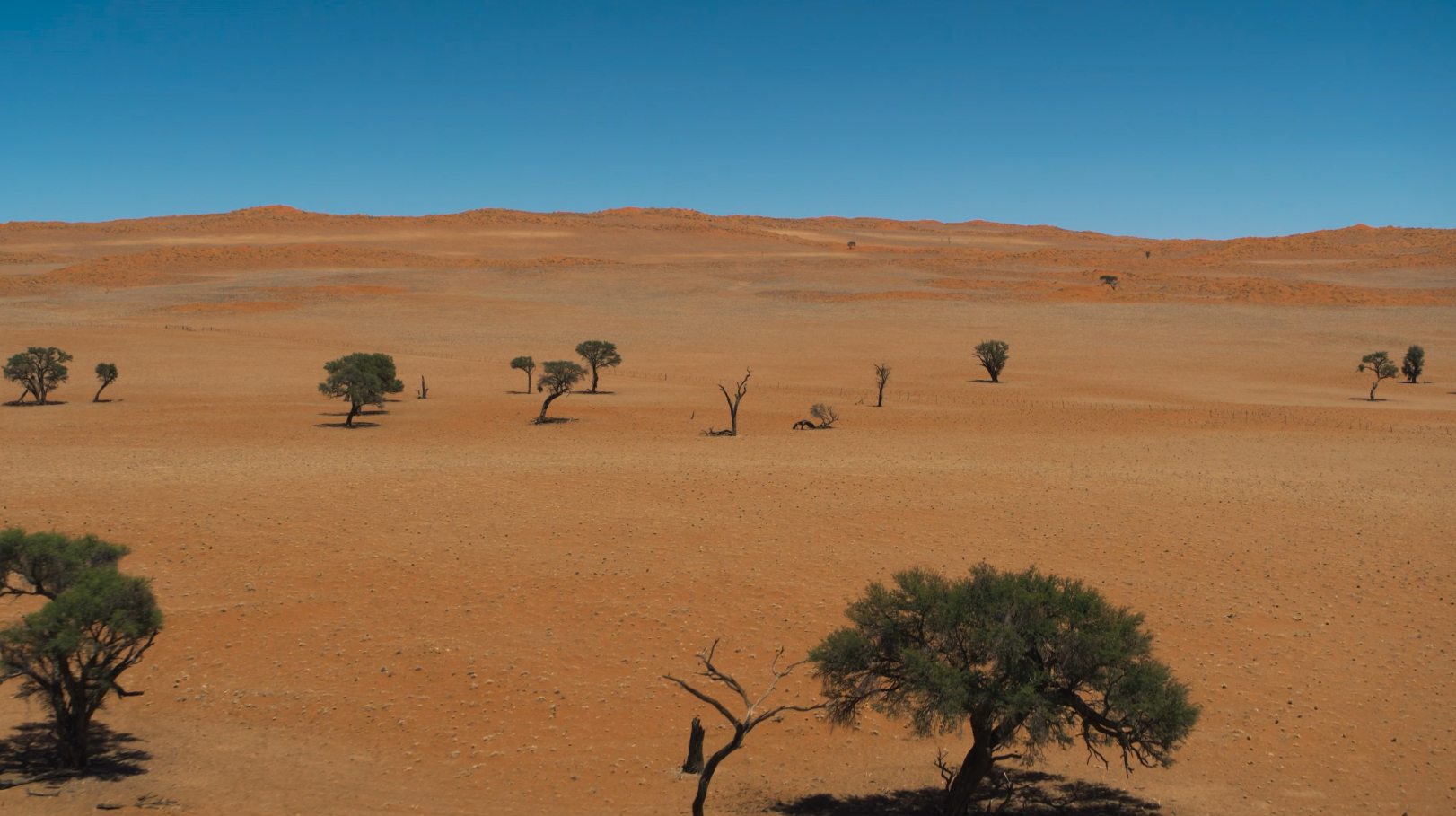 荒野沙漠 Desert Solitude_超清 4K 5